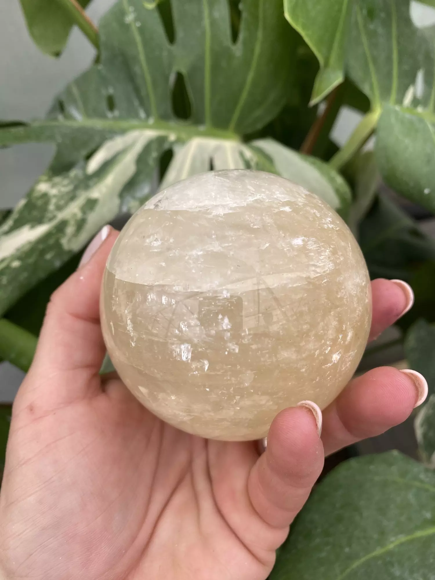 plant/PSS-0270 Quartz Sphere-0