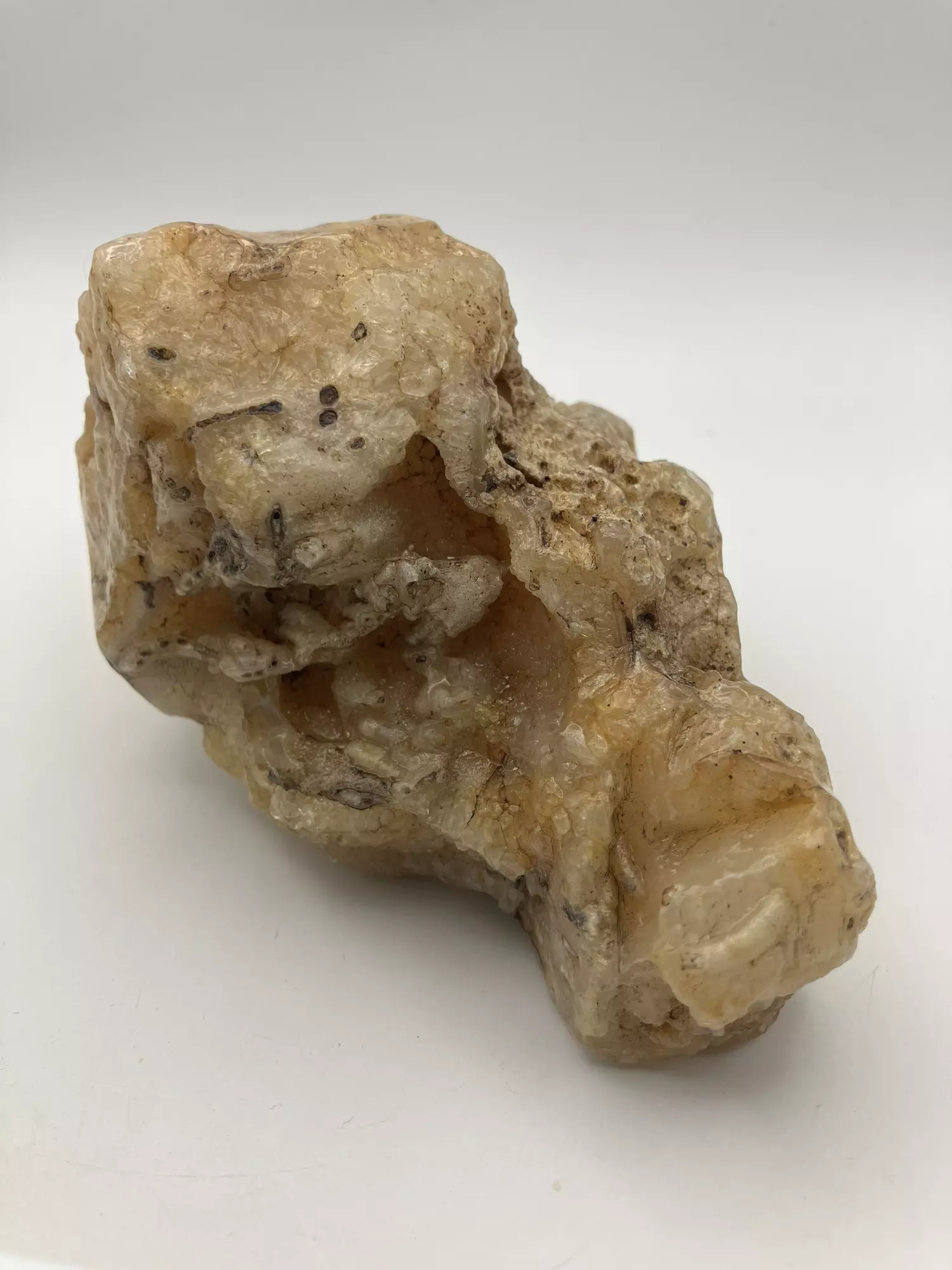 plant/Stinking Water Moss Agate - Polished - 1lb 15.15oz-0