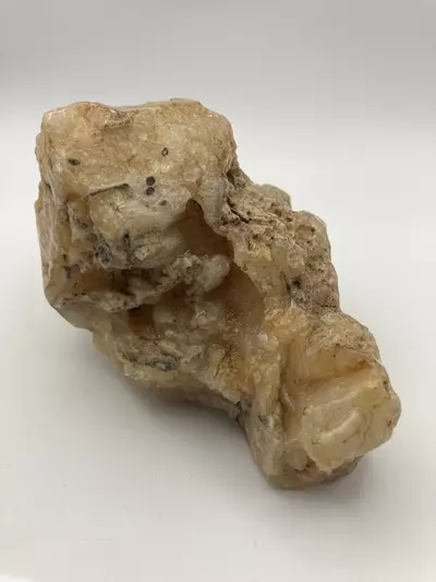 plant/Stinking Water Moss Agate - Polished - 1lb 15.15oz-0-thumbnail