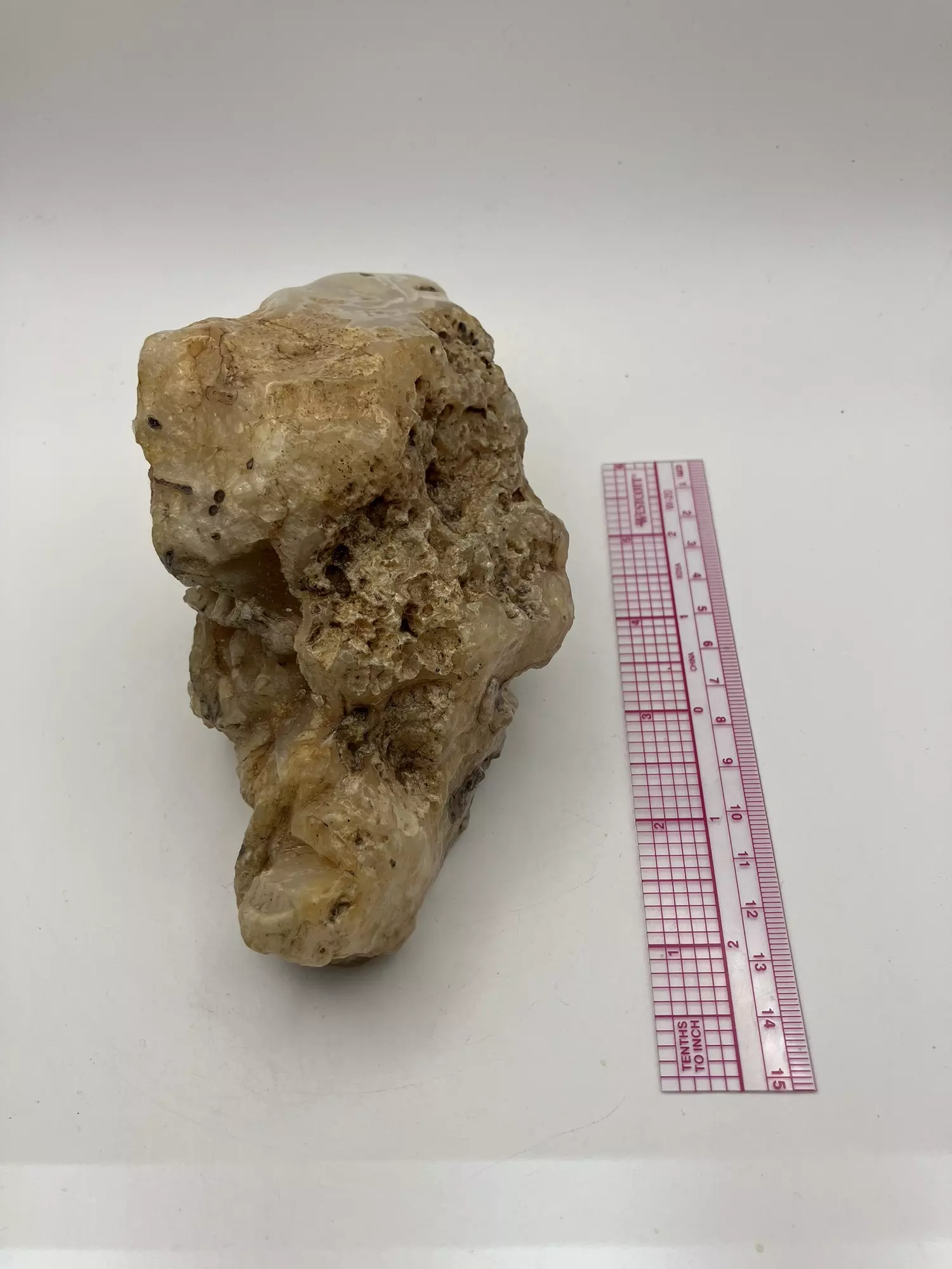 plant/Stinking Water Moss Agate - Polished - 1lb 15.15oz-4