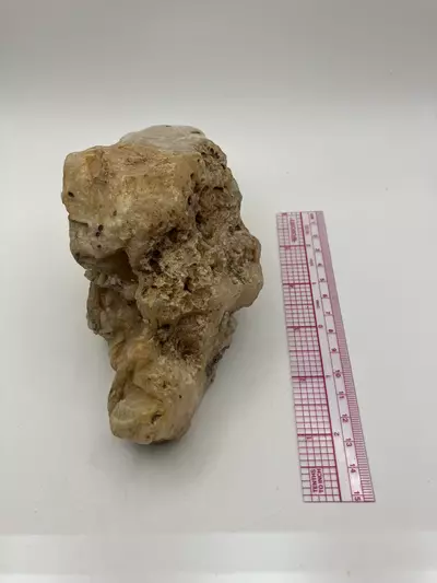 plant/Stinking Water Moss Agate - Polished - 1lb 15.15oz-4-thumbnail