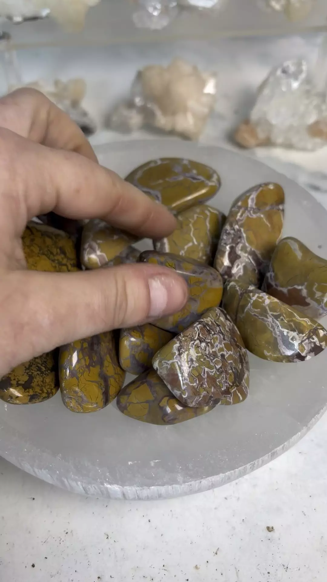 plant/*one* Stone Canyon Jasper - California-0