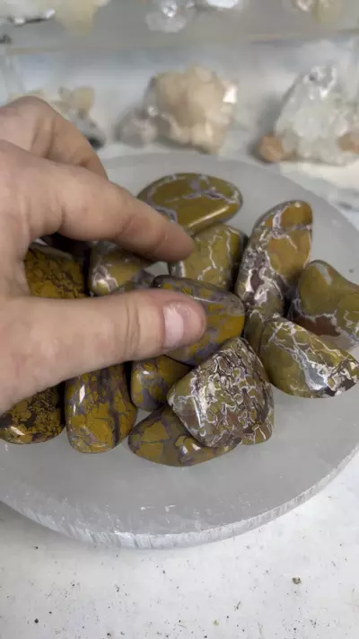 plant/*one* Stone Canyon Jasper - California-0-thumbnail