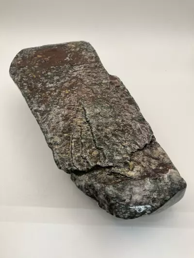 plant/Agatized Dino Bone - Polished - 3lb-3-thumbnail