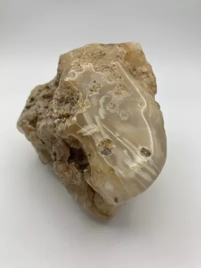 plant/Stinking Water Moss Agate - Polished - 1lb 15.15oz-2-thumbnail