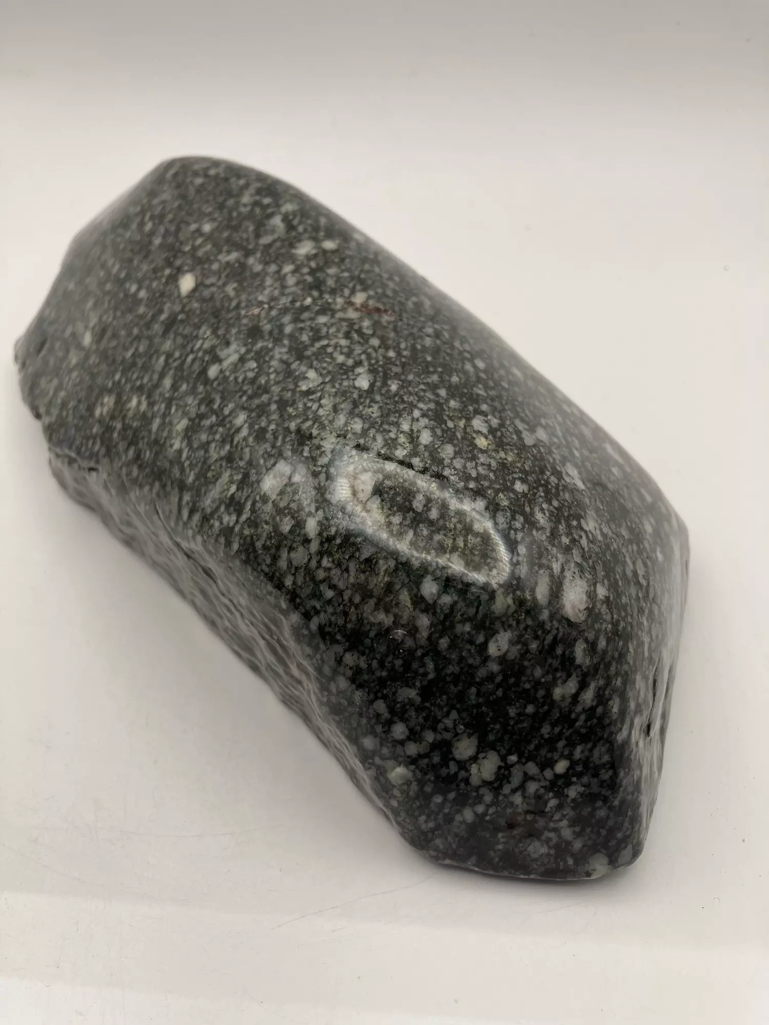 plant/Agatized Dino Bone - Polished - 3lb-0