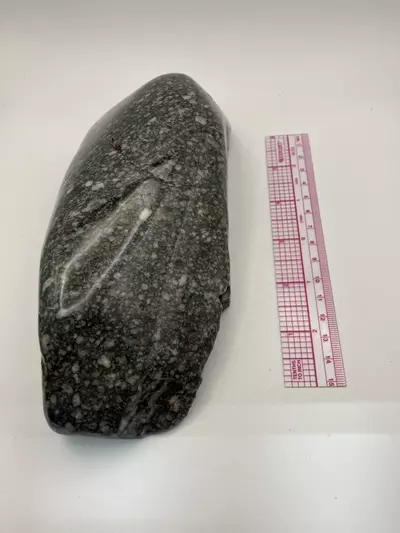 plant/Agatized Dino Bone - Polished - 3lb-4-thumbnail