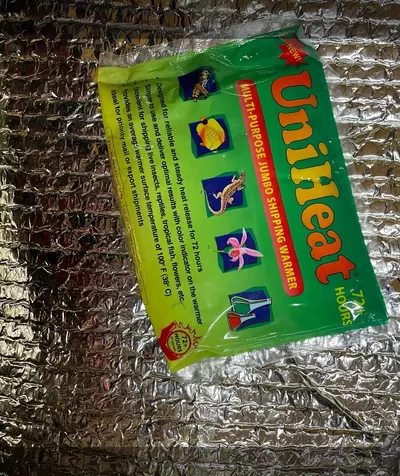 plant/Winter shipping-0-thumbnail