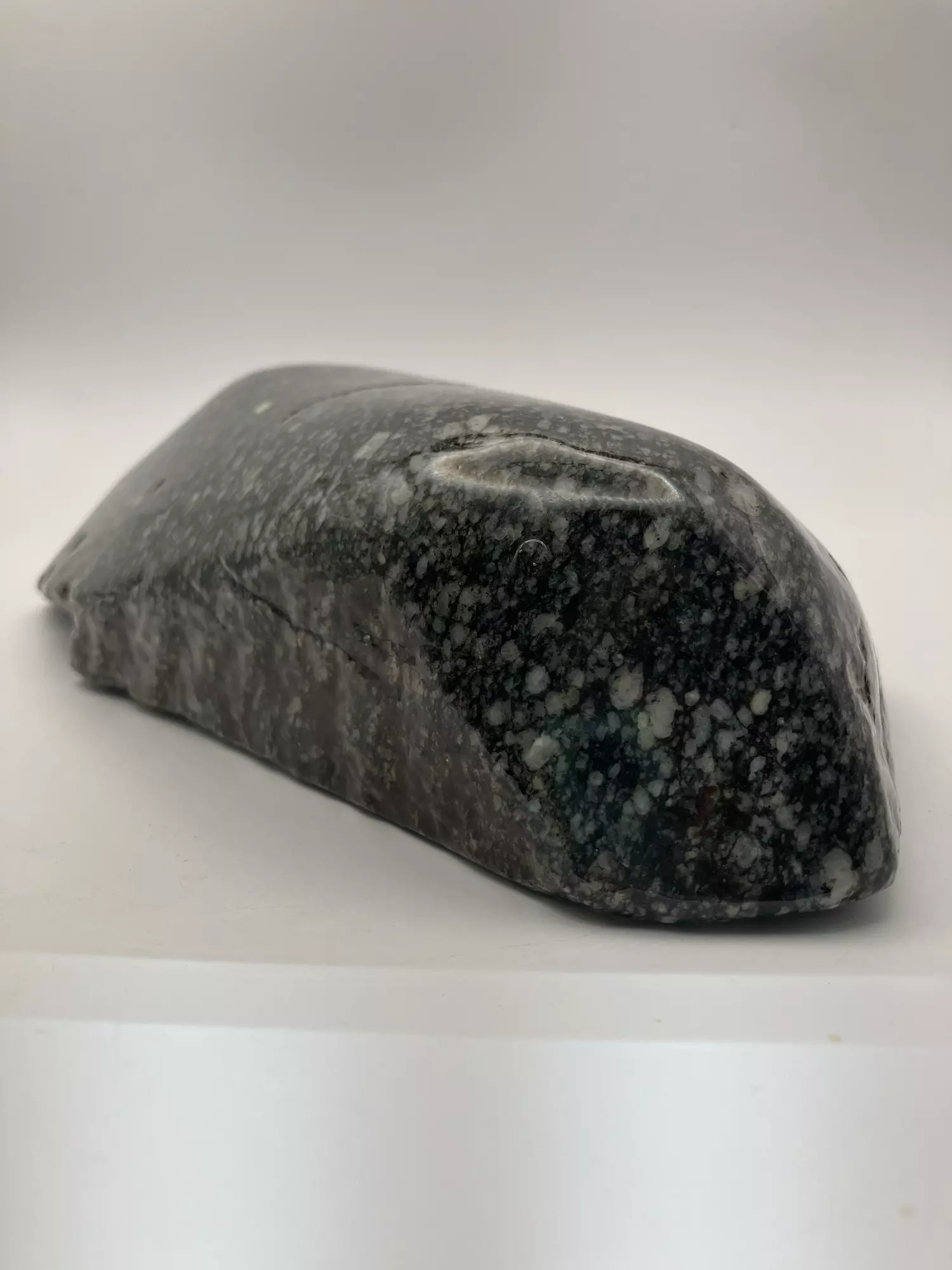 plant/Agatized Dino Bone - Polished - 3lb-1