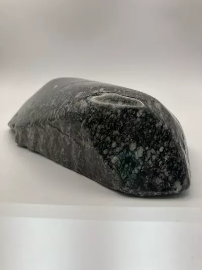 plant/Agatized Dino Bone - Polished - 3lb-1-thumbnail