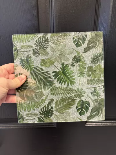 plant/Under pot surface protection-0-thumbnail