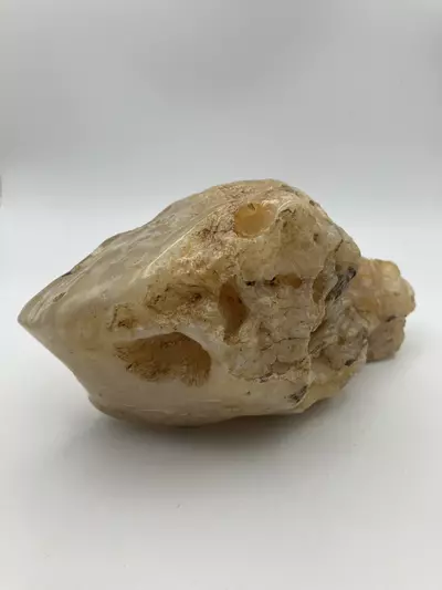 plant/Stinking Water Moss Agate - Polished - 1lb 15.15oz-3-thumbnail