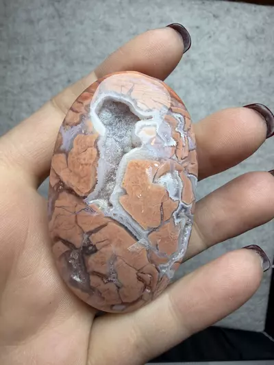 plant/cotton candy agate palm-0-thumbnail