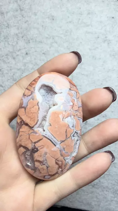 plant/cotton candy agate palm-1-thumbnail