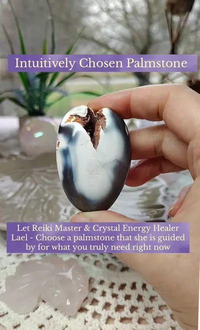 plant/Intuitively Chosen Palmstone-0-thumbnail