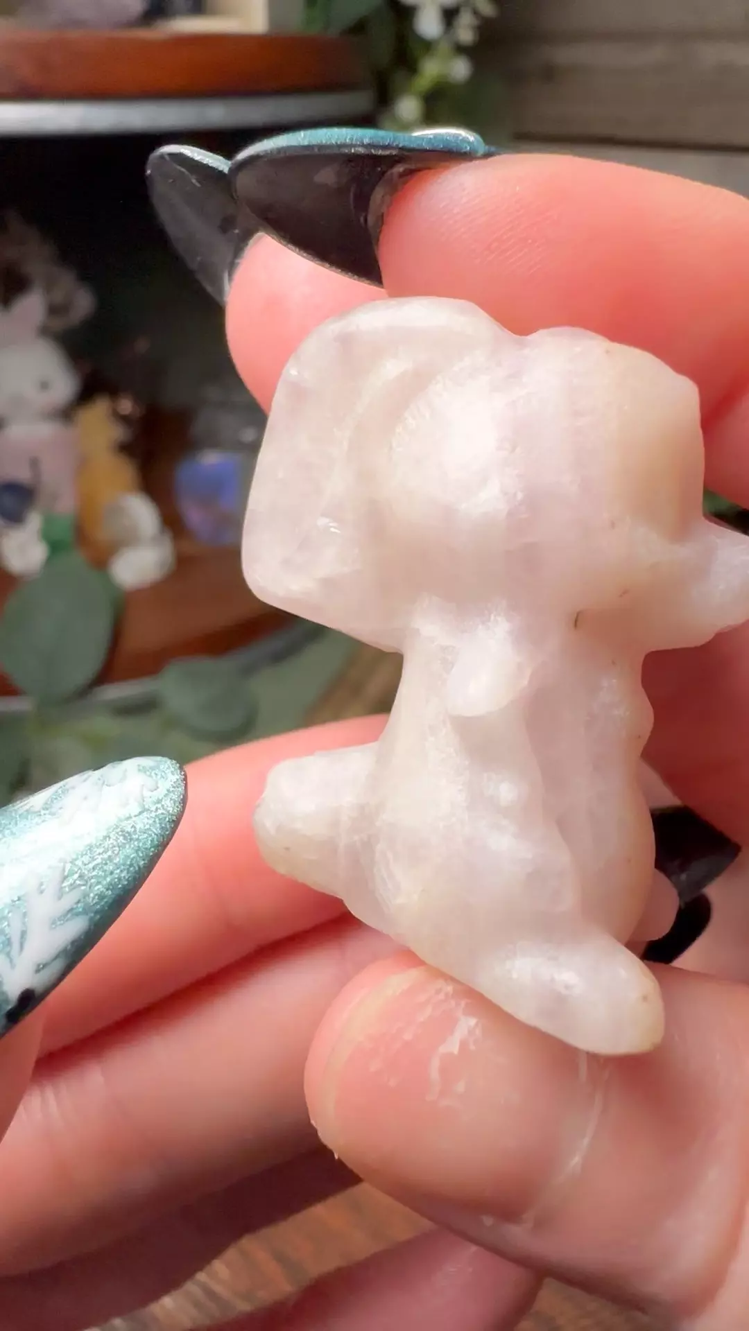 plant/Fluorite Rabbit Winnie the Pooh-0