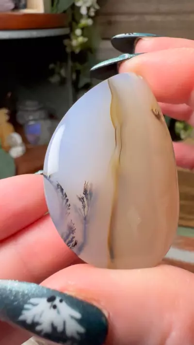 plant/Agate Drilled Teardrop-0-thumbnail