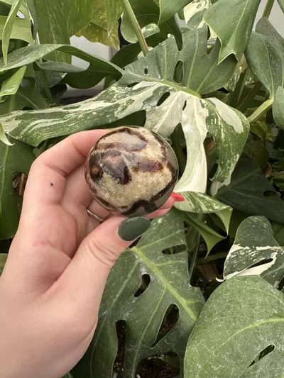 plant/PSS-0407 Septarian Sphere -0-thumbnail