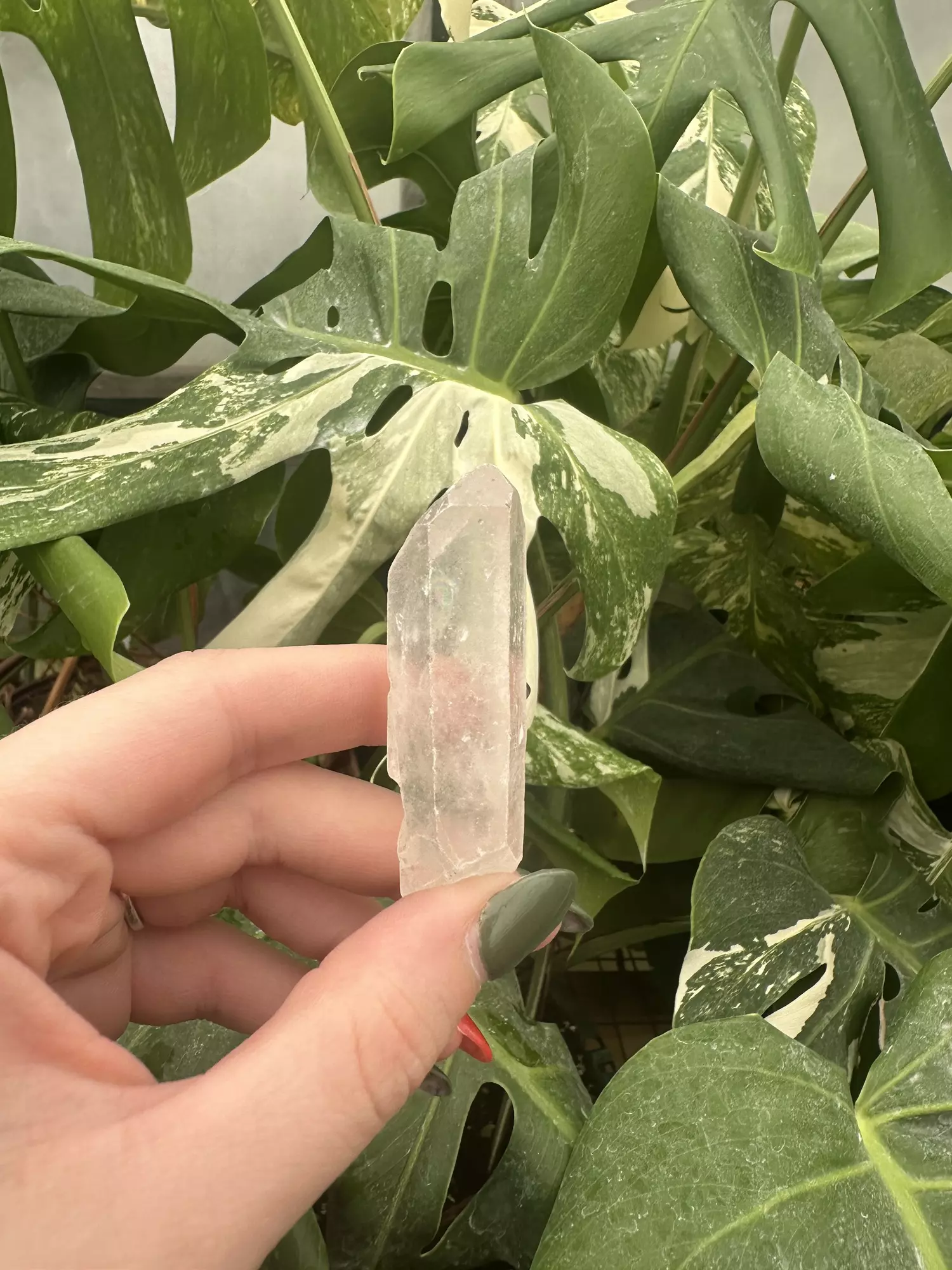 plant/PSS-0507 Raw Quartz -0