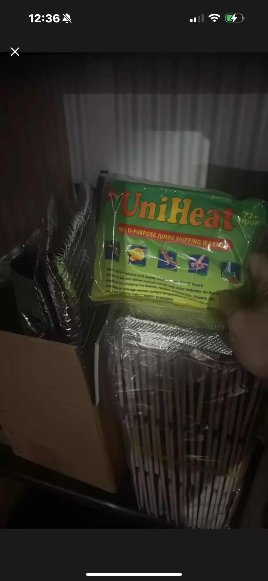 plant/Winter packing-0