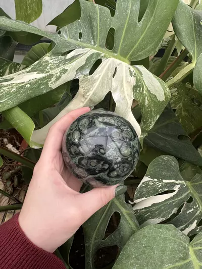 plant/PSS-0444 Kambaba Jasper Sphere-0-thumbnail