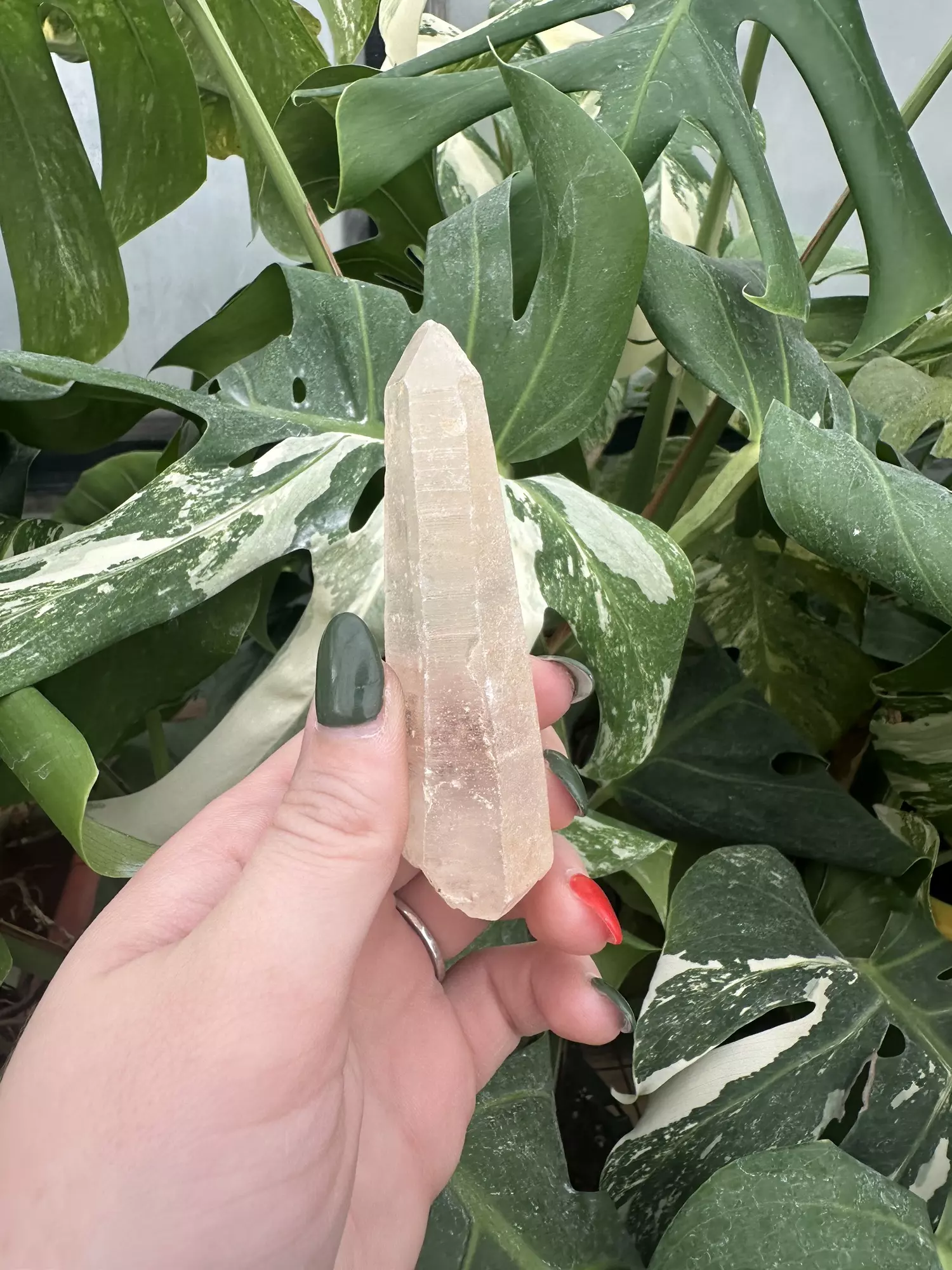 plant/PSS-0456 Raw Quartz Point -0