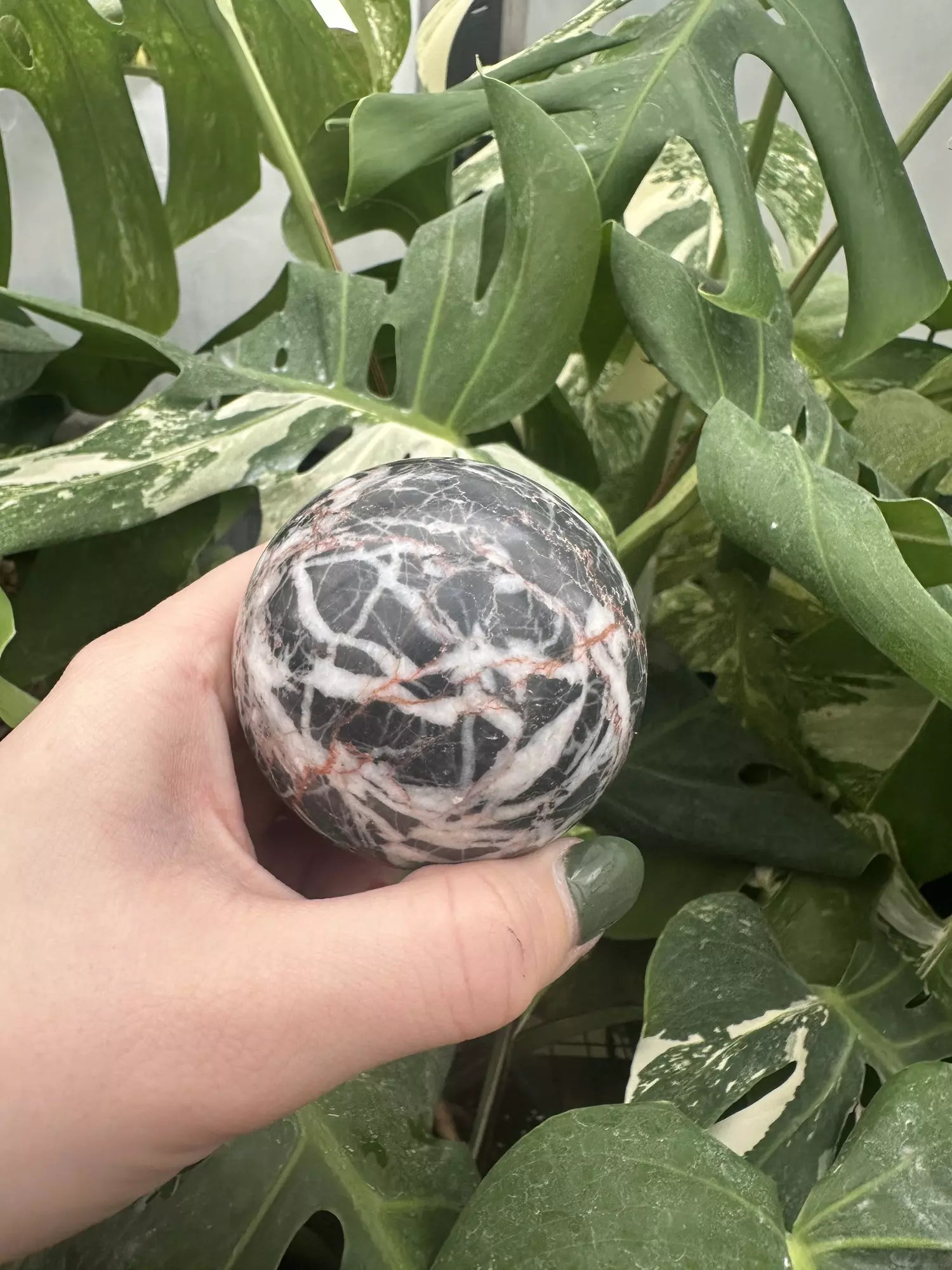 plant/PSS-0535 Jasper Sphere-0