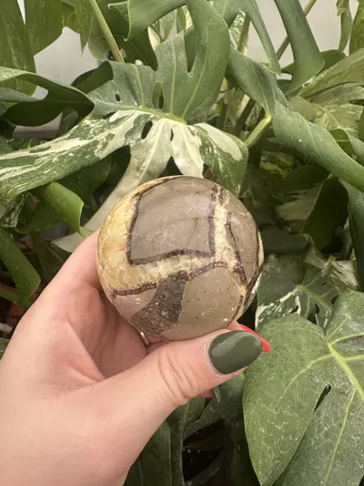 plant/PSS-0497 Septarian Sphere -0-thumbnail