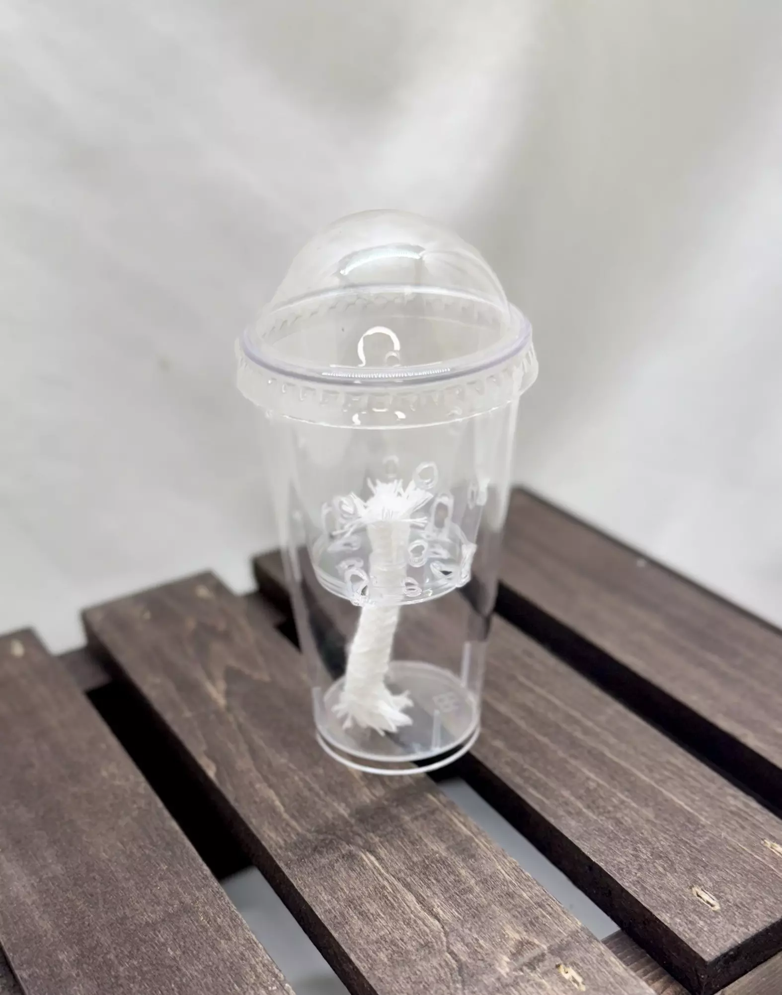 plant/Corm/pup cups (x5) with humidity dome-0