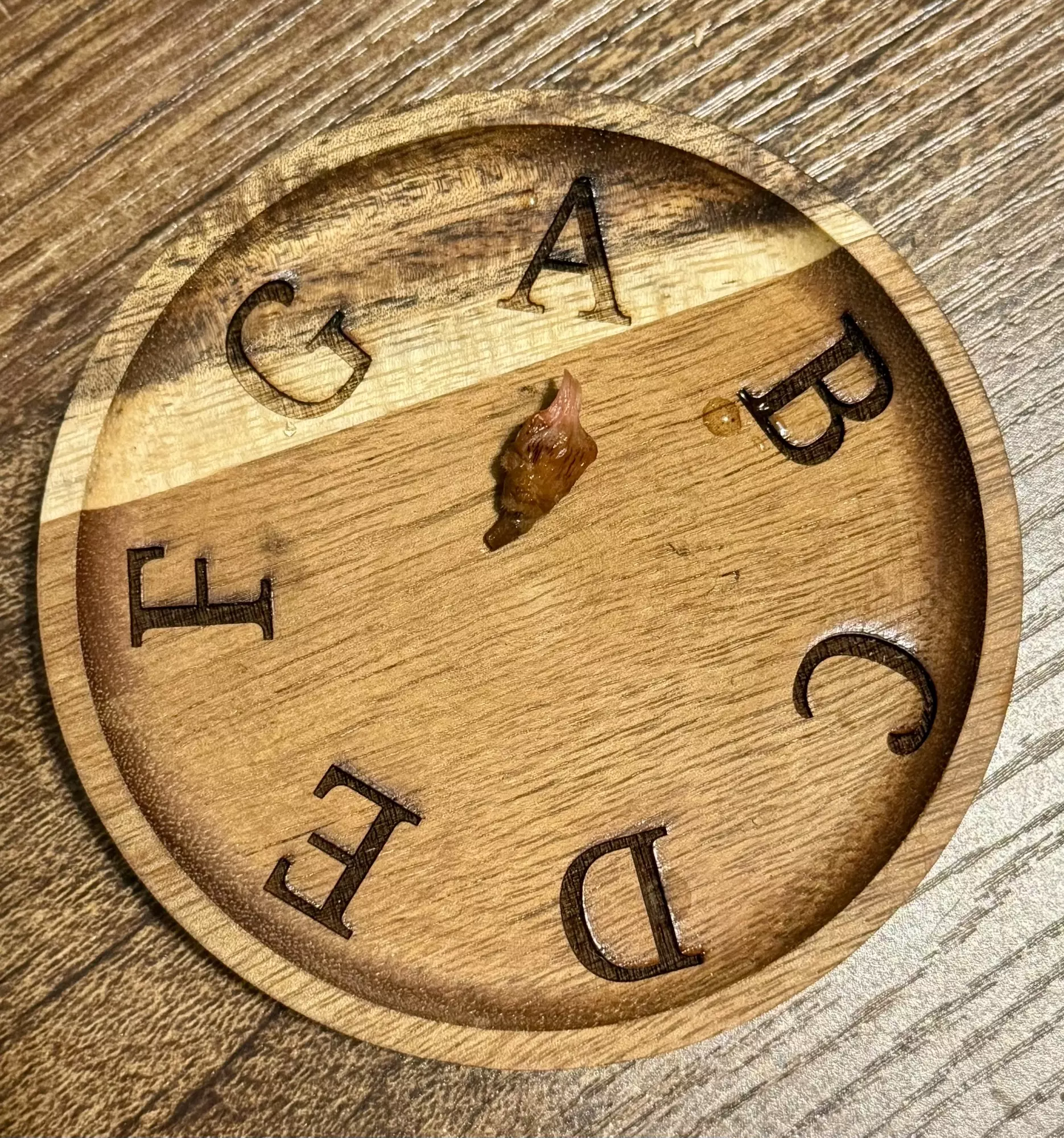 plant/Alocasia Nairobi Nights corm (mama NFS)-1