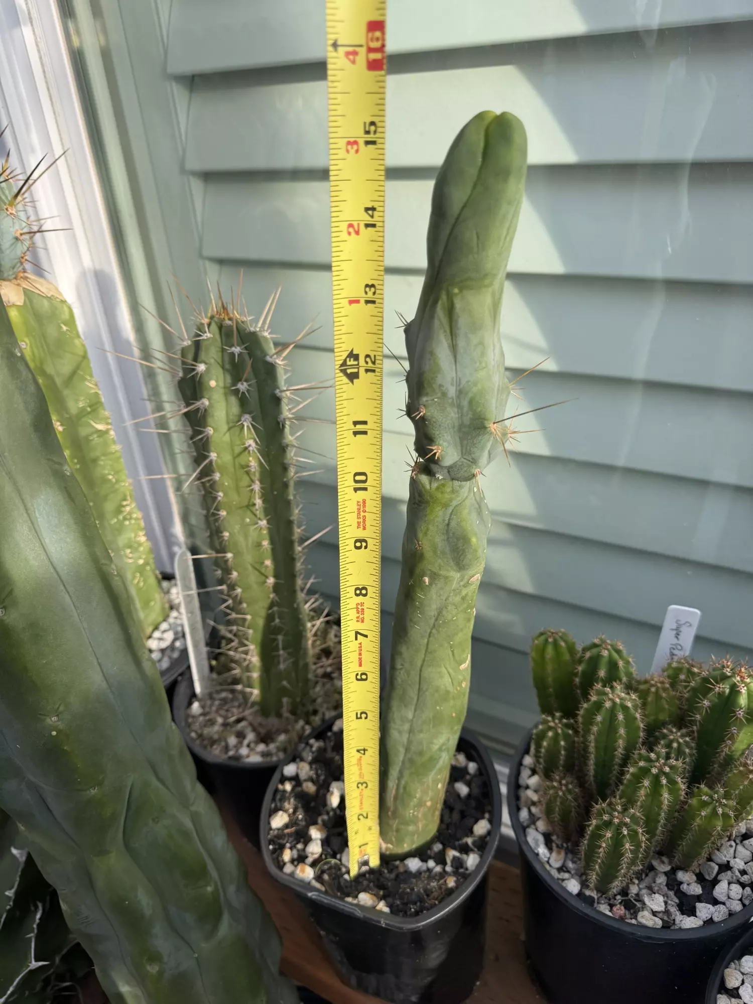 plant/TBM Longform -0