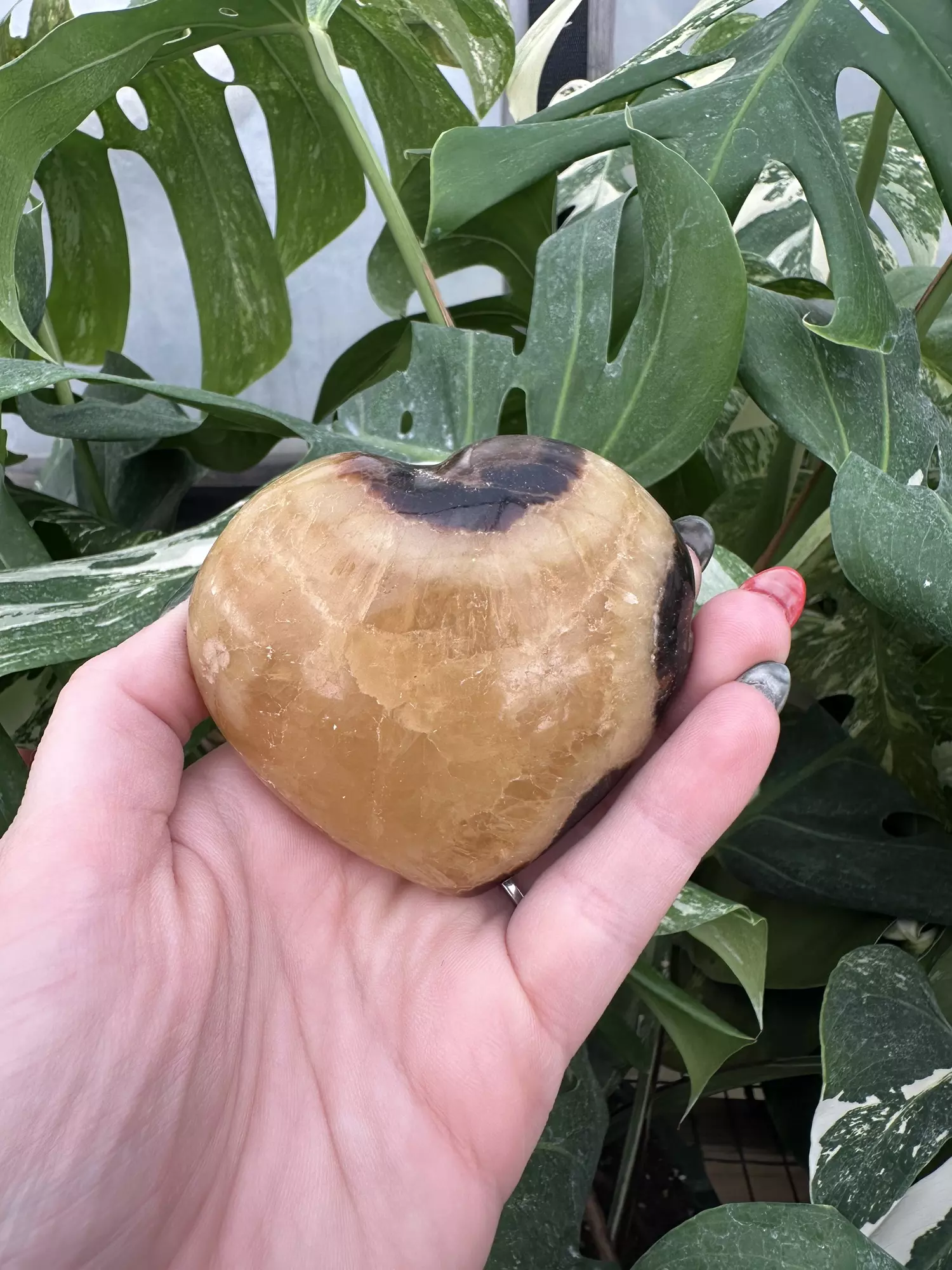 plant/PSS-0574 Septarian Heart-1