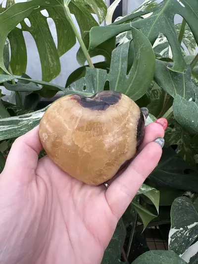 plant/PSS-0574 Septarian Heart-1-thumbnail