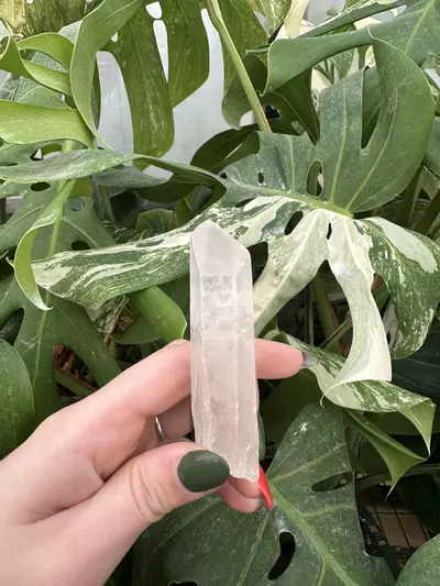 plant/PSS-0579 Raw Quartz Point -0-thumbnail