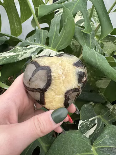 plant/PSS-0588 Septarian Heart-0-thumbnail