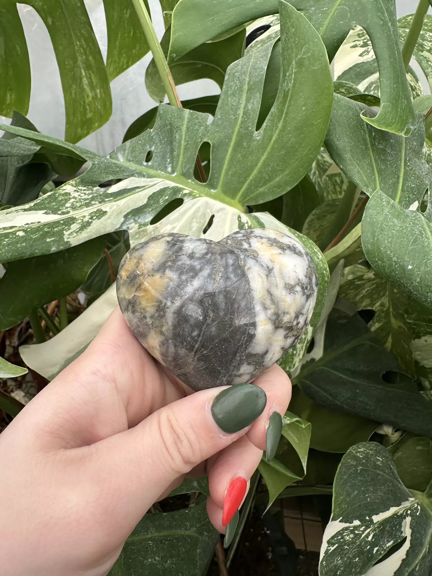 plant/PSS-0585 Pyrite and Jasper Heart -0