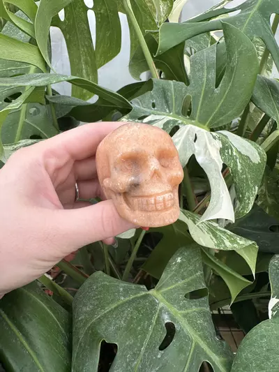plant/PSS-0573 Orange Calcite Skull -0-thumbnail