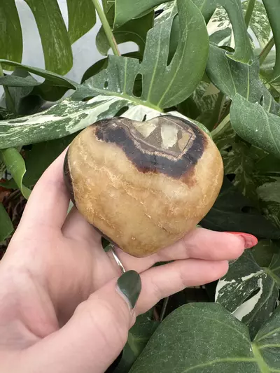 plant/PSS-0574 Septarian Heart-0-thumbnail