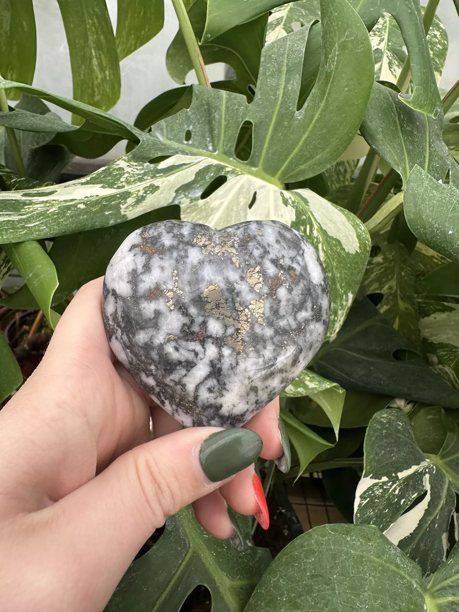 plant/PSS-0587 Pyrite and Jasper Heart -0