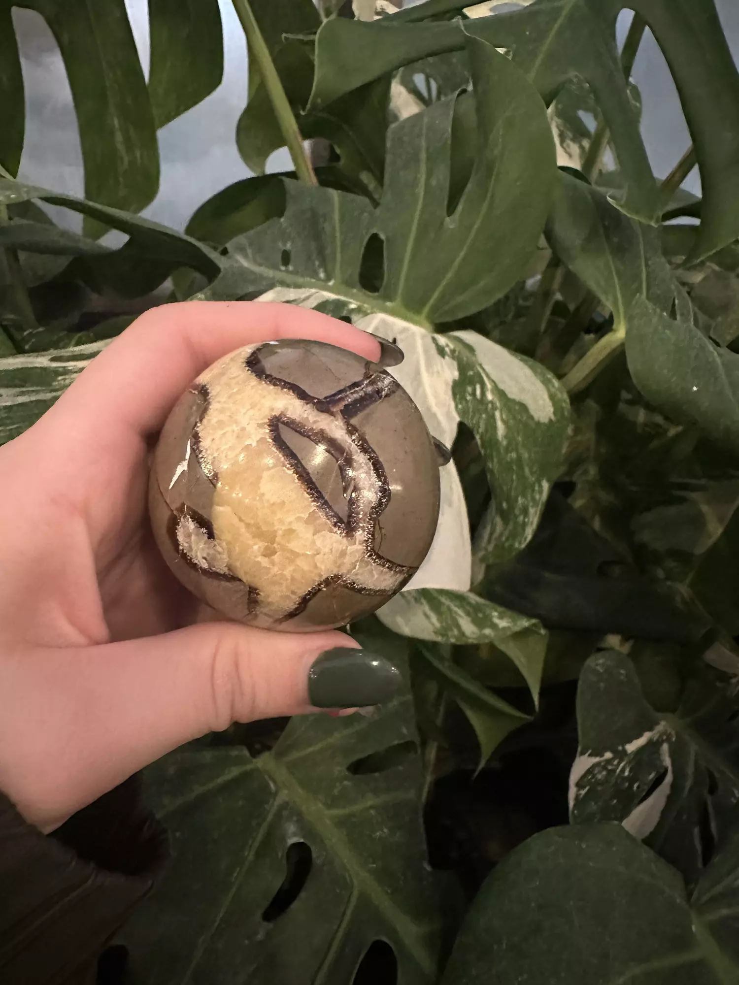 plant/PSS-0537 Septarian Sphere -0