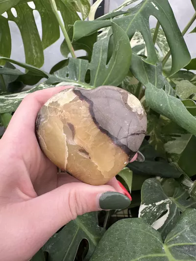 plant/PSS-0577 Septarian Heart -0-thumbnail