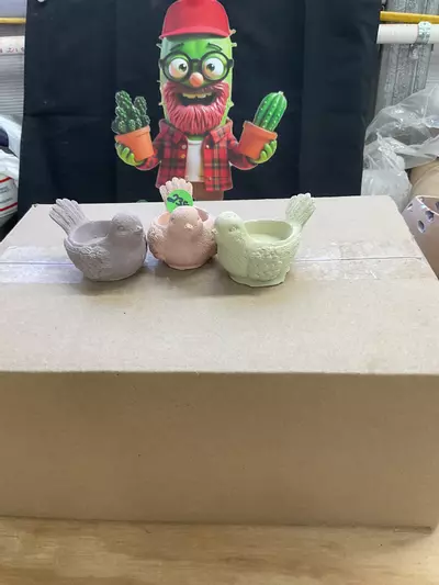 plant/238 bird trio-0-thumbnail