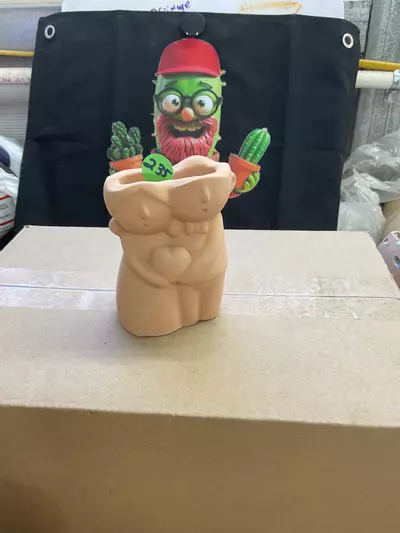 plant/235 couple-0-thumbnail