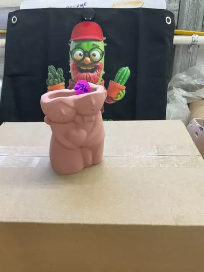 plant/236 couple-0-thumbnail