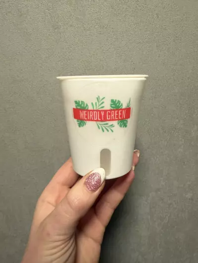 plant/‘Weirdly Green’ Logo Self Watering Planter 3”-0-thumbnail