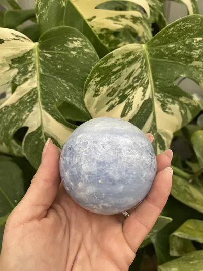 plant/PSS-0083 Blue Calcite Sphere-0-thumbnail