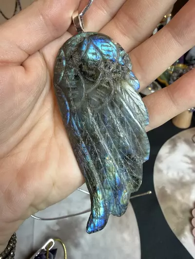 plant/large lab angel wing ornament -0-thumbnail