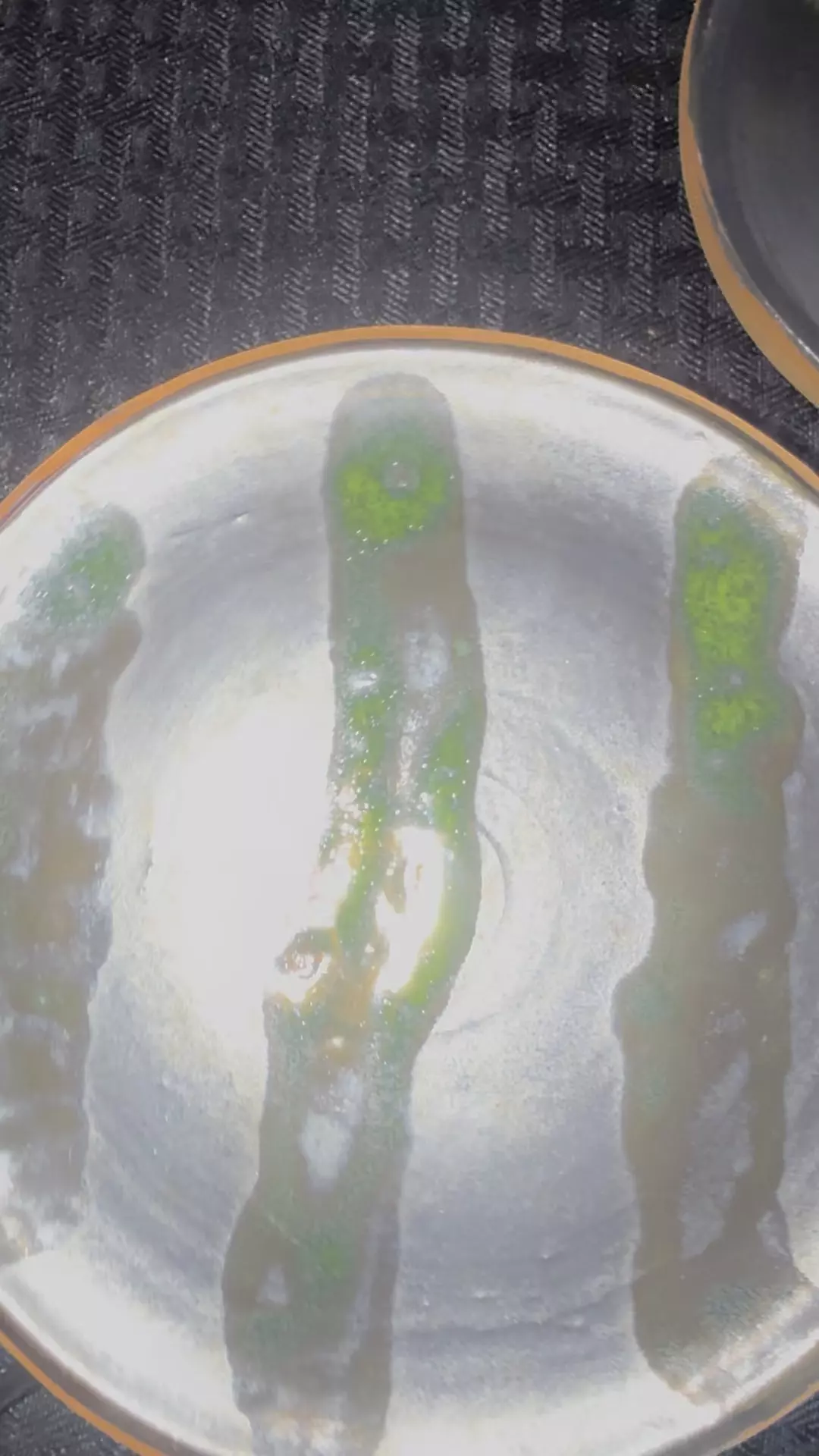 plant/Drain pan 12 -0