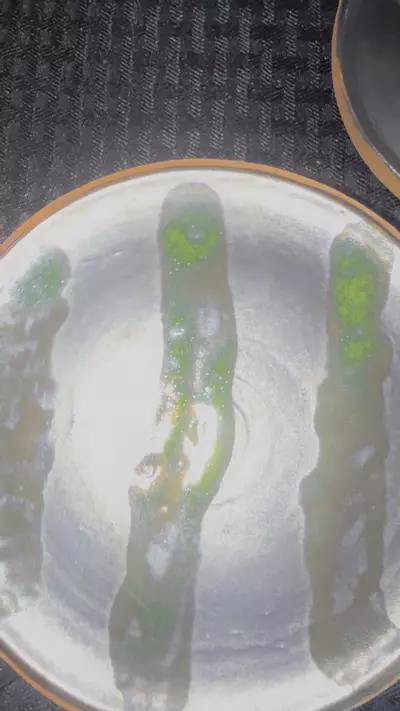 plant/Drain pan 12 -0-thumbnail