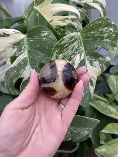 plant/PSS-0087 Septarian Sphere-0-thumbnail